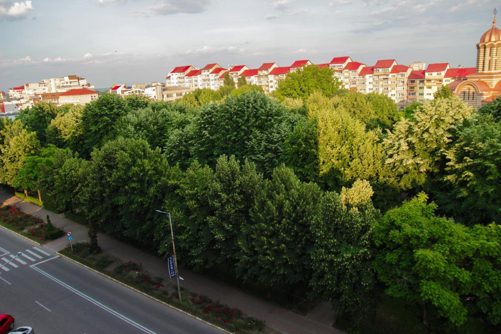 Hotel Dambovita Targoviste Eksteriør bilde